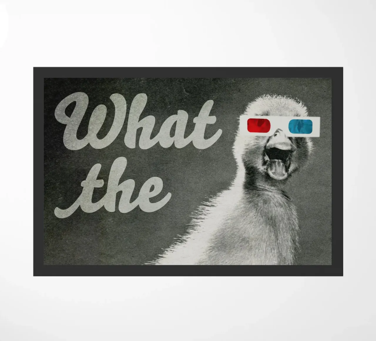 What the duck zerbino da MsGonzalez