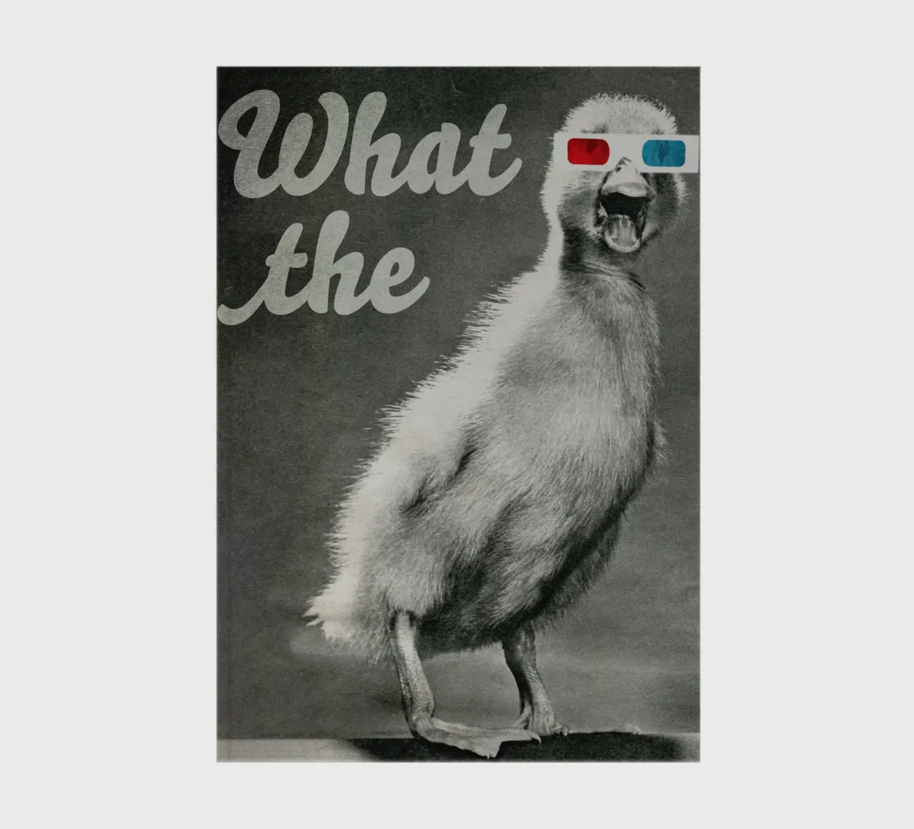 What the duck notebook by MsGonzalez