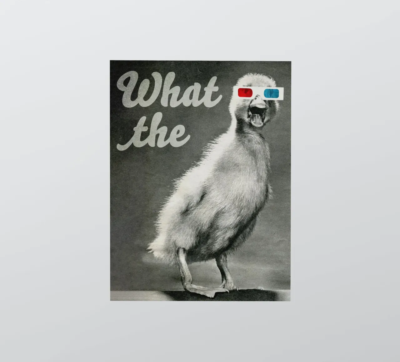 What the duck adesivo da MsGonzalez