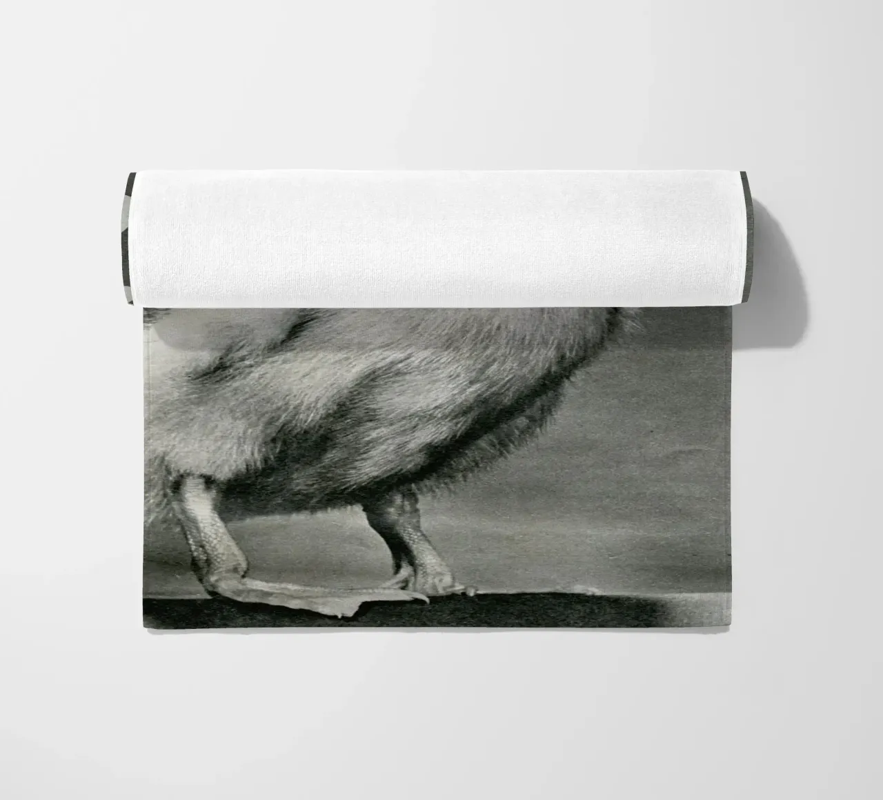 What the duck telo mare da MsGonzalez