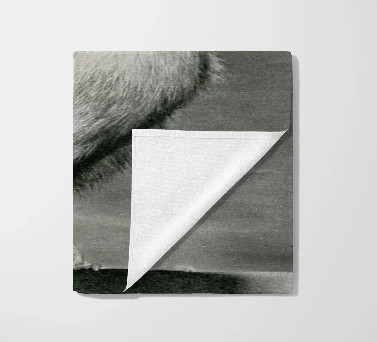 What the duck telo mare da MsGonzalez