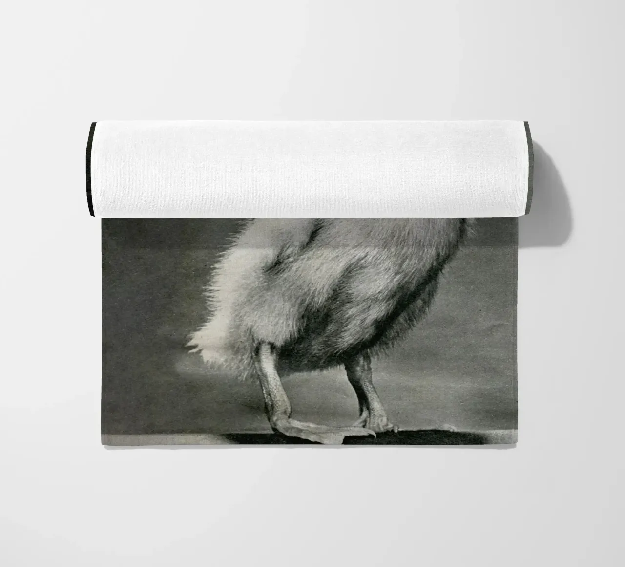 What the duck telo mare da MsGonzalez