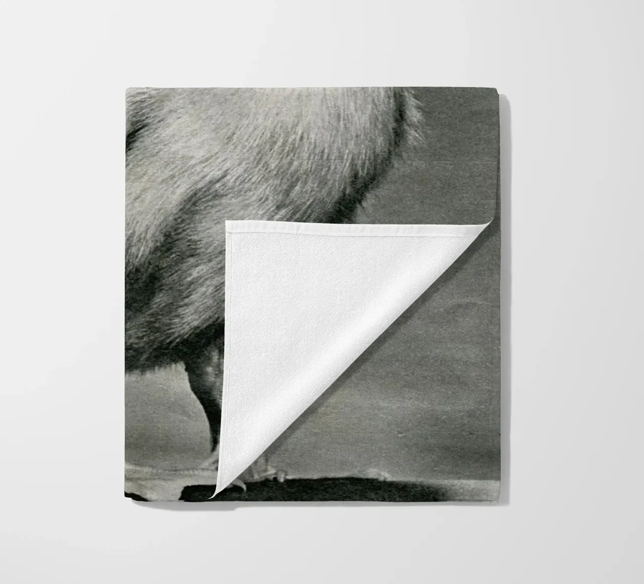 What the duck telo mare da MsGonzalez