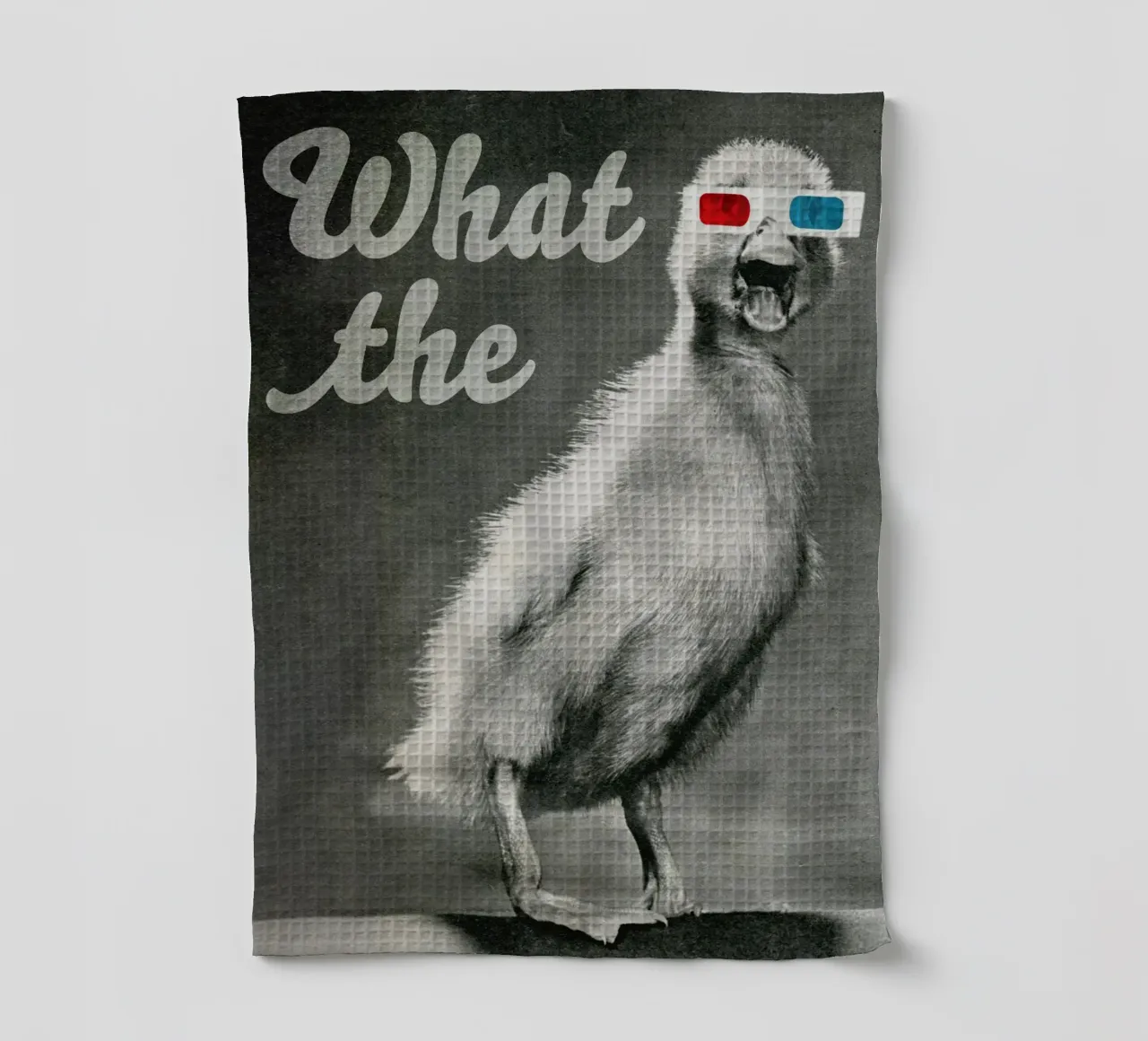 What the duck torchon de MsGonzalez