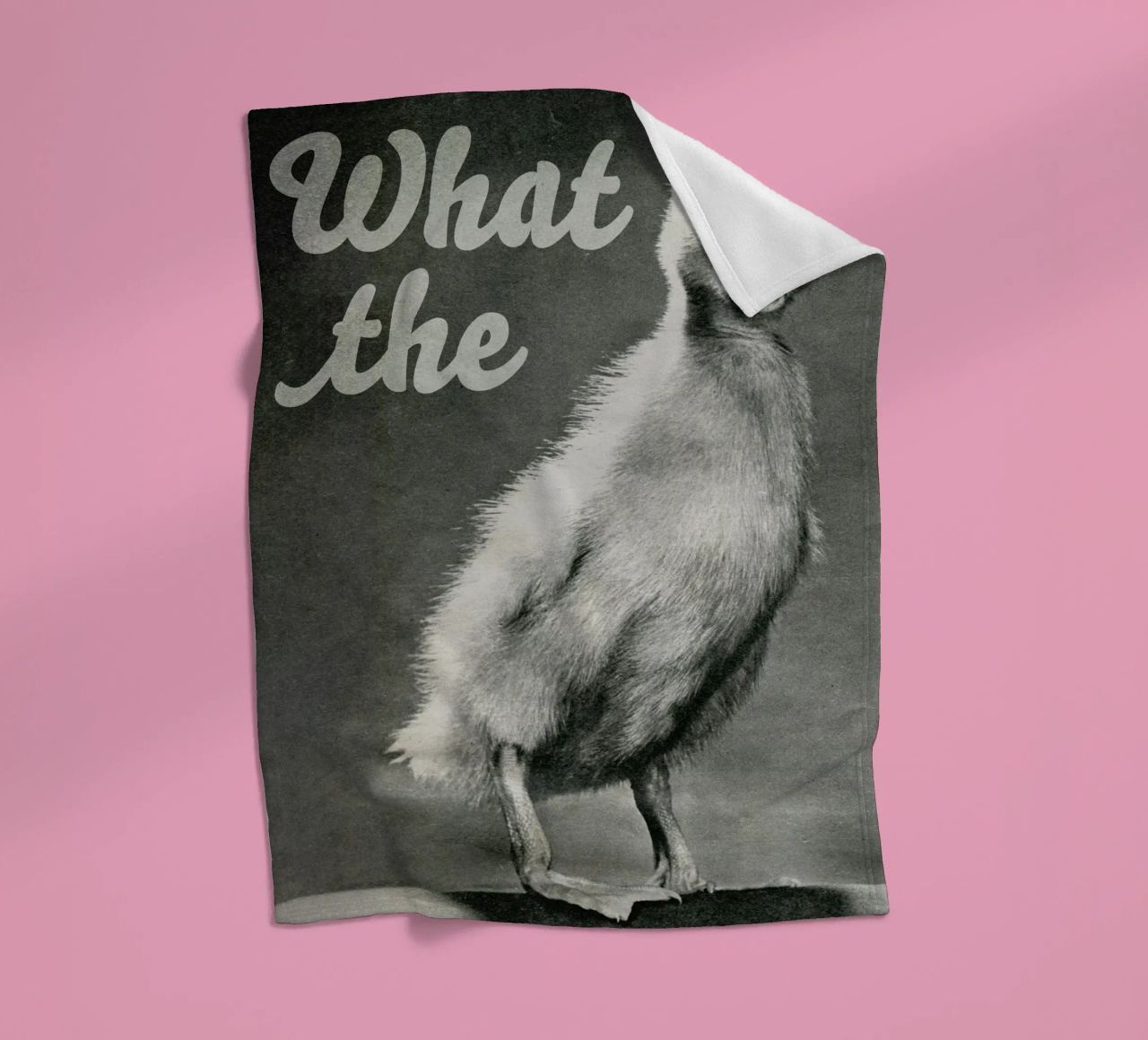 What the duck coperta in pile da MsGonzalez