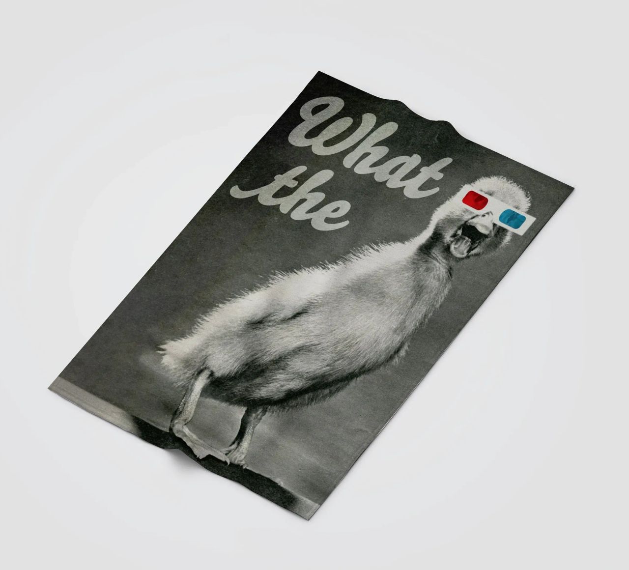What the duck coperta in pile da MsGonzalez
