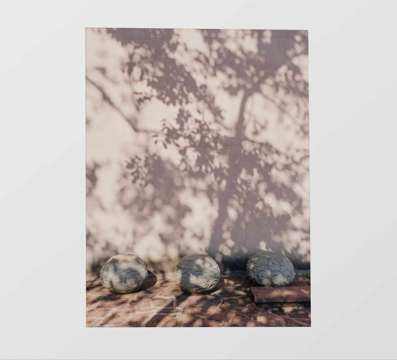 Shadow of a tree in China pellicola backlit da photolovers