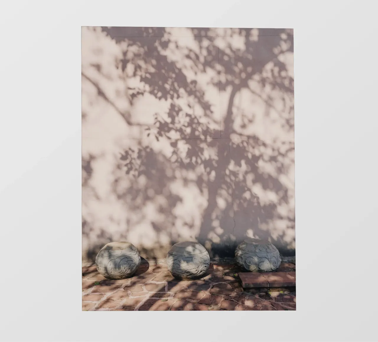 Shadow of a tree in China telo in pvc da photolovers