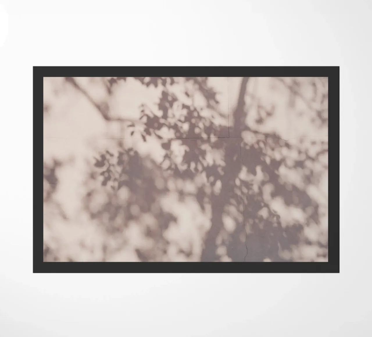 Shadow of a tree in China zerbino da photolovers