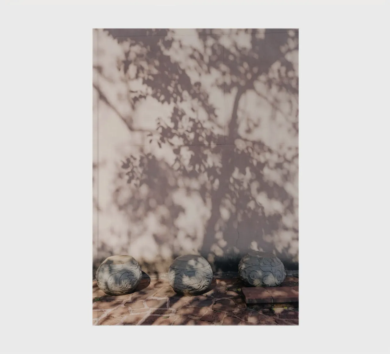 Shadow of a tree in China notebook by photolovers