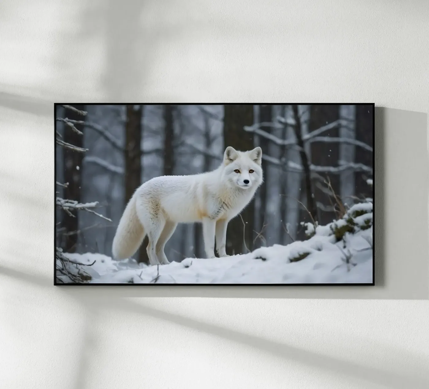 White fox plexiglass da Wild Beauty