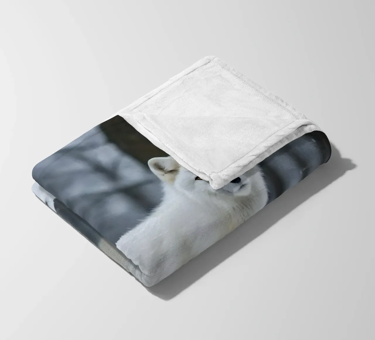 Volpe bianca coperta in pile da Wild Beauty
