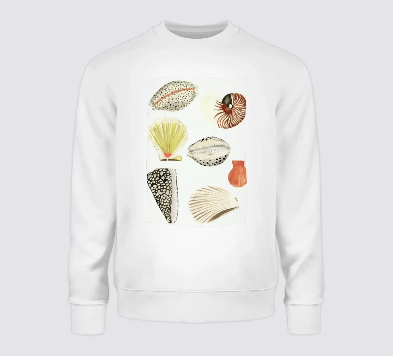 Shells sweatshirt by Isabelle Vandeplassche