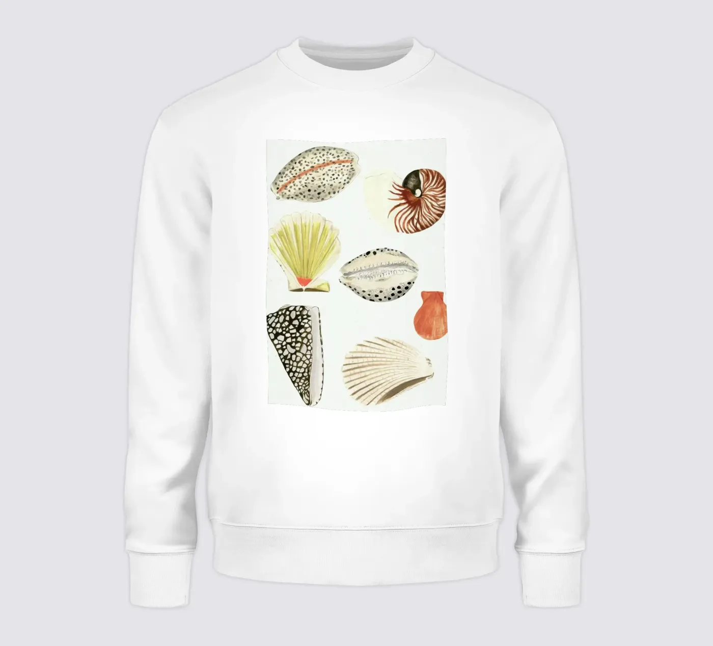 Shells Sweatshirt von Isabelle Vandeplassche