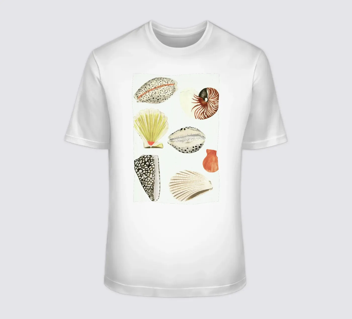 Shells t-shirt by Isabelle Vandeplassche