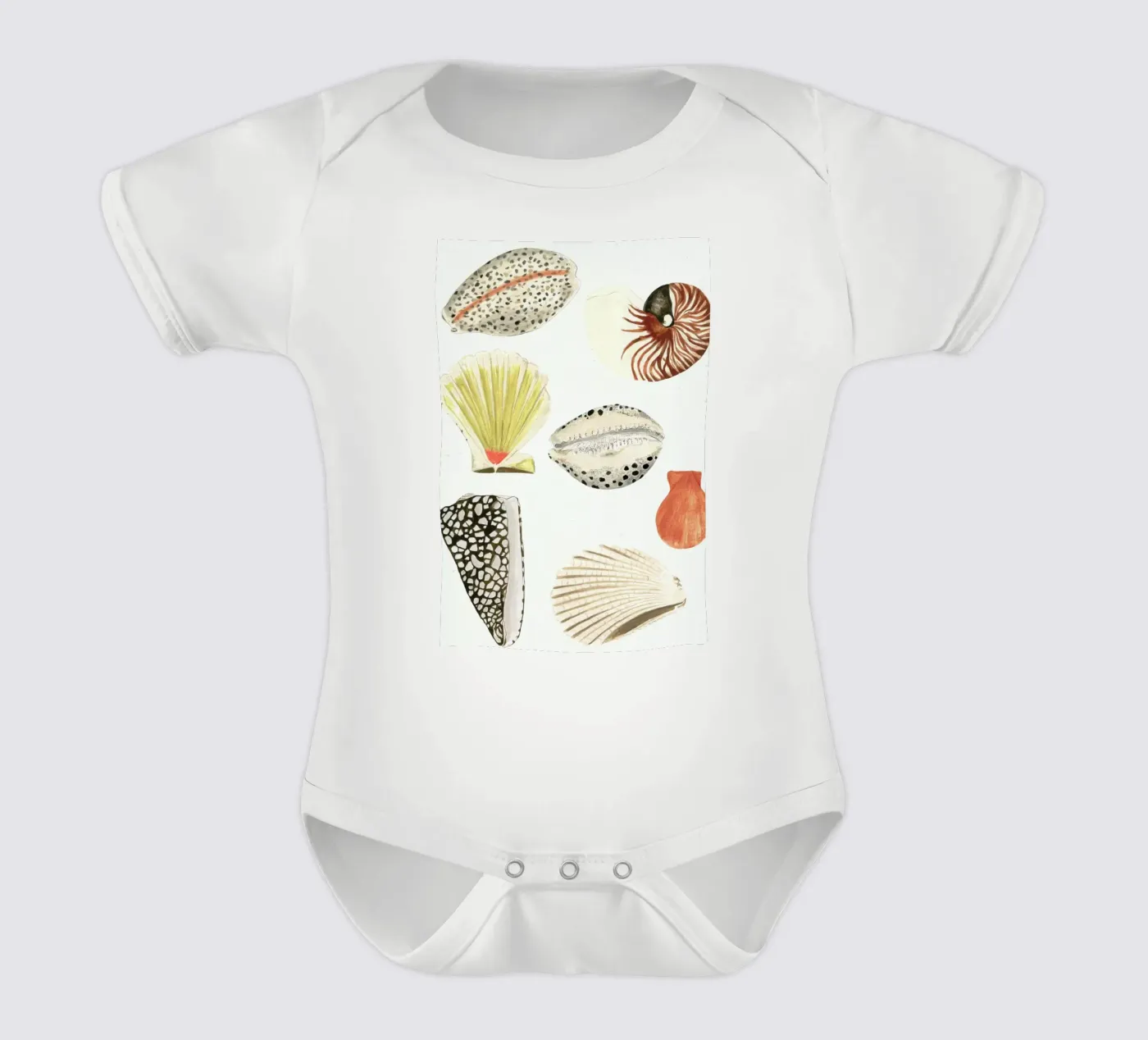 Shells Kurzarm Babybody von Isabelle Vandeplassche