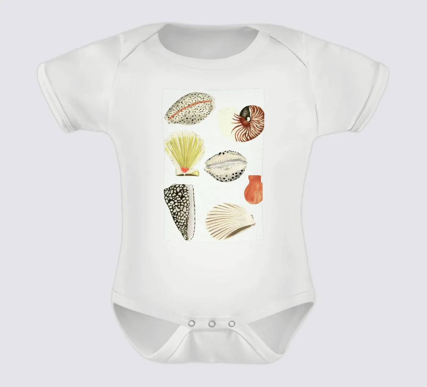 Shells body bébé de Isabelle Vandeplassche