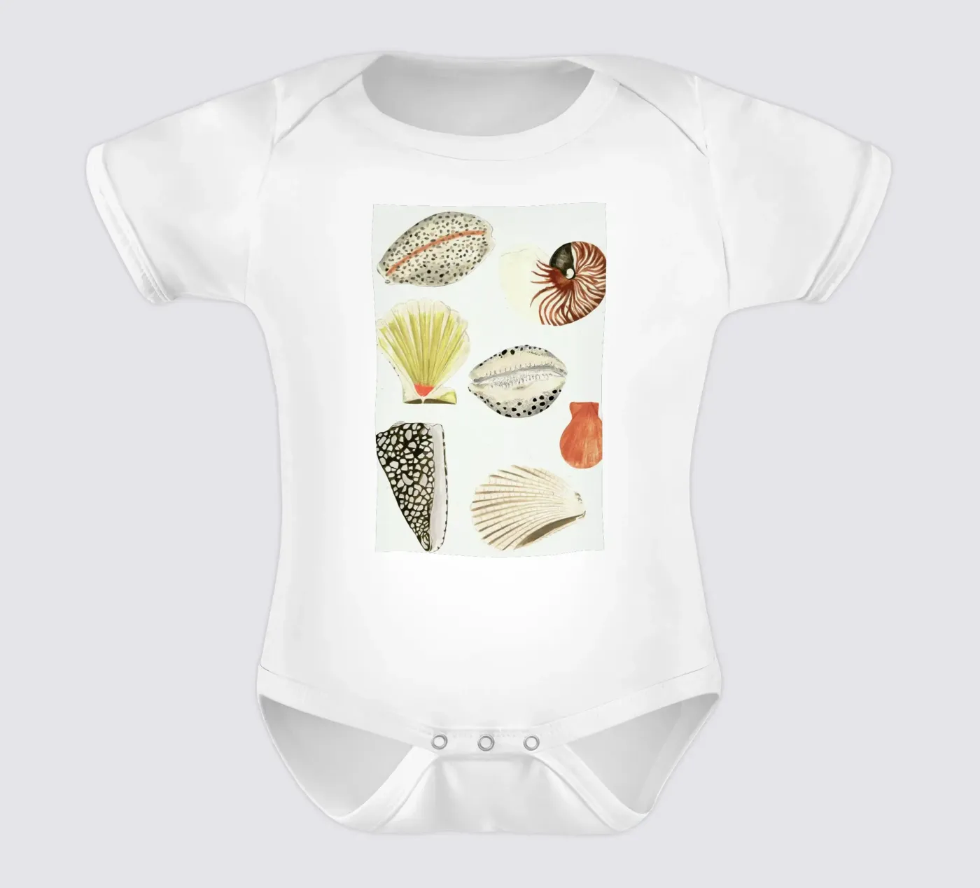 Shells Kurzarm Babybody von Isabelle Vandeplassche