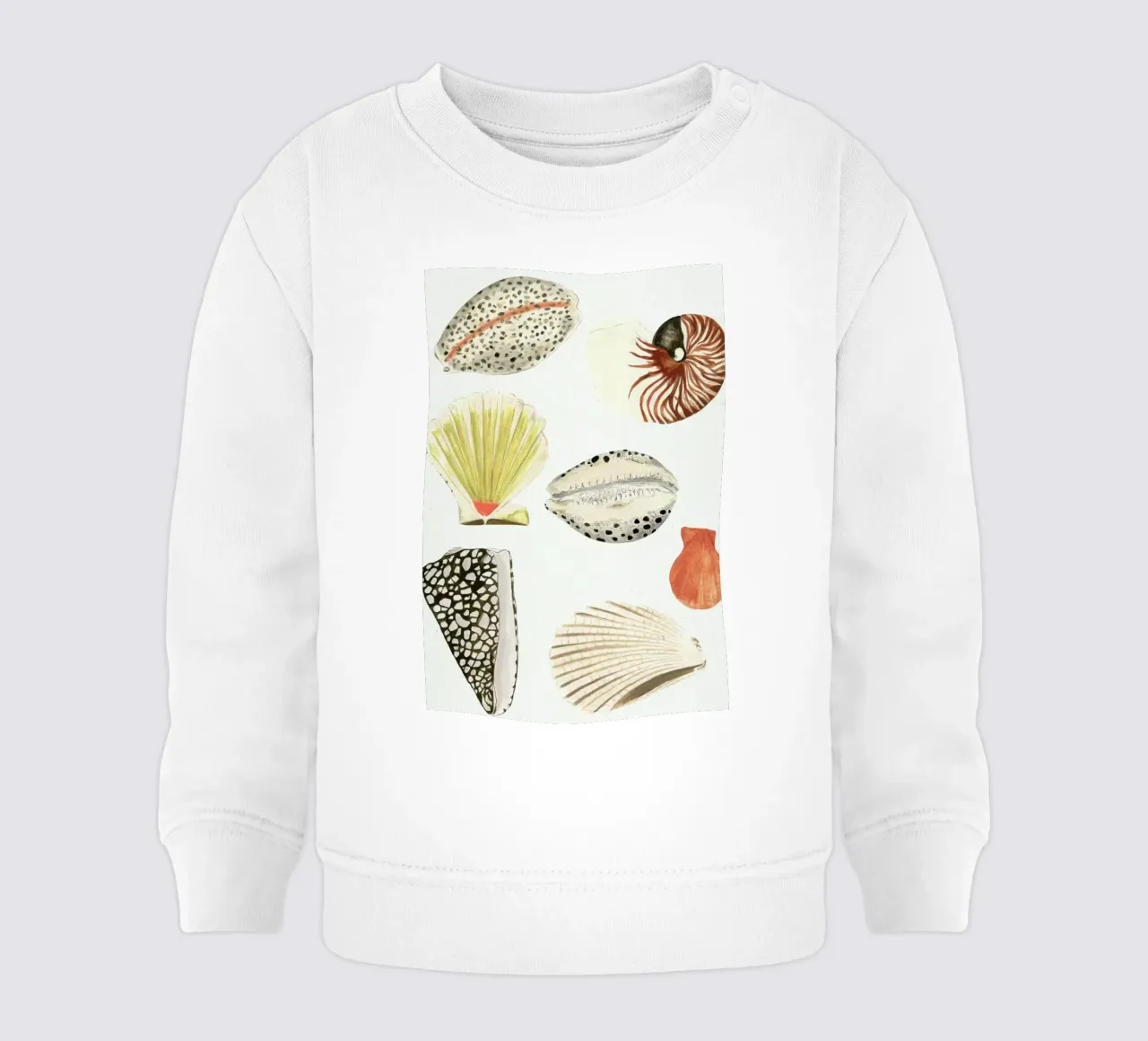 Shells baby sweatshirt by Isabelle Vandeplassche