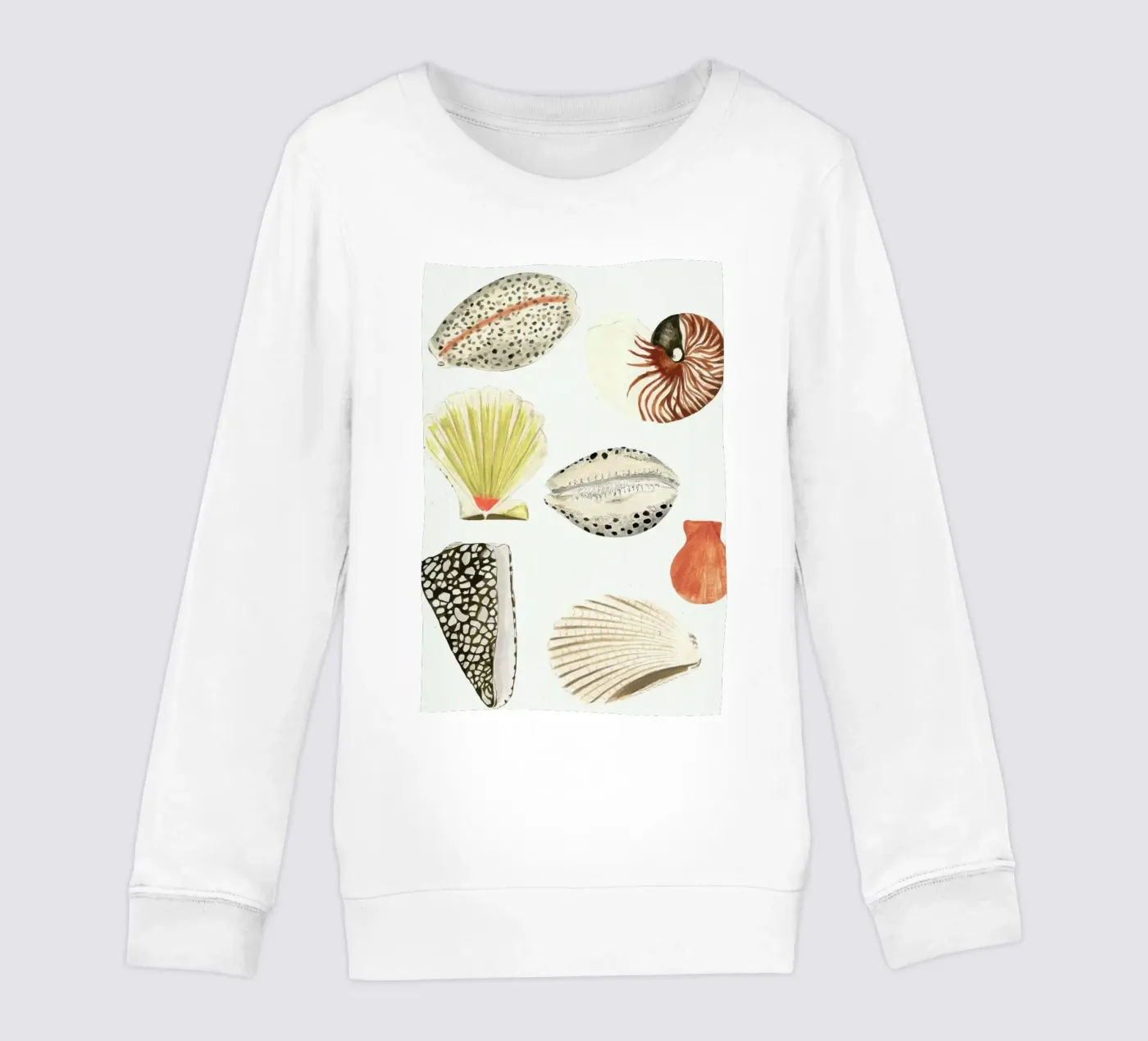 Shells kinder sweatshirt van Isabelle Vandeplassche
