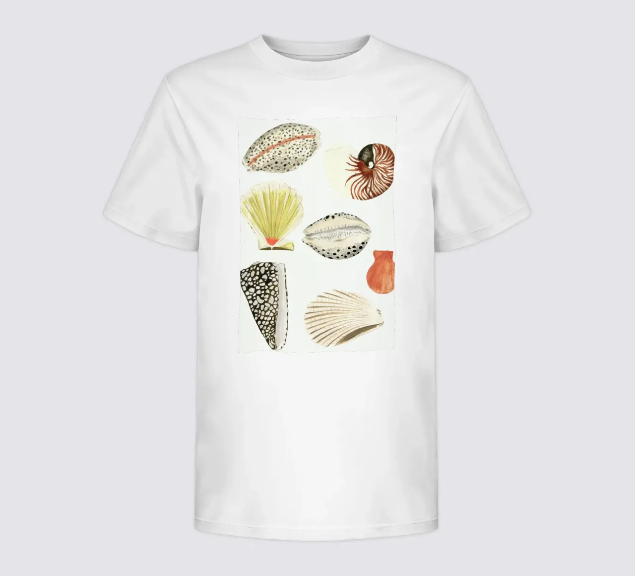 Shells kinder t-shirt van Isabelle Vandeplassche