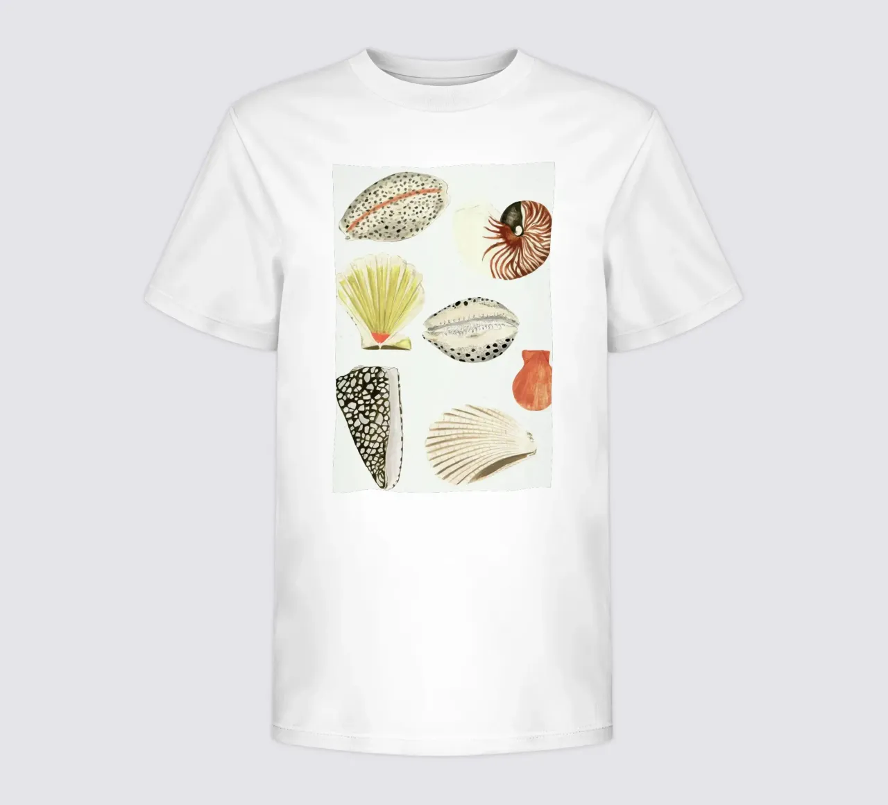 Shells kinder t-shirt van Isabelle Vandeplassche
