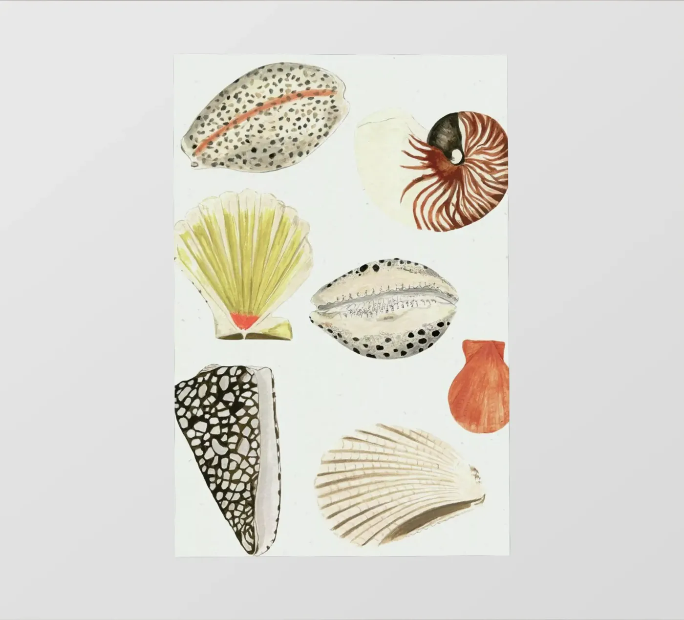 Shells backlit folie van Isabelle Vandeplassche