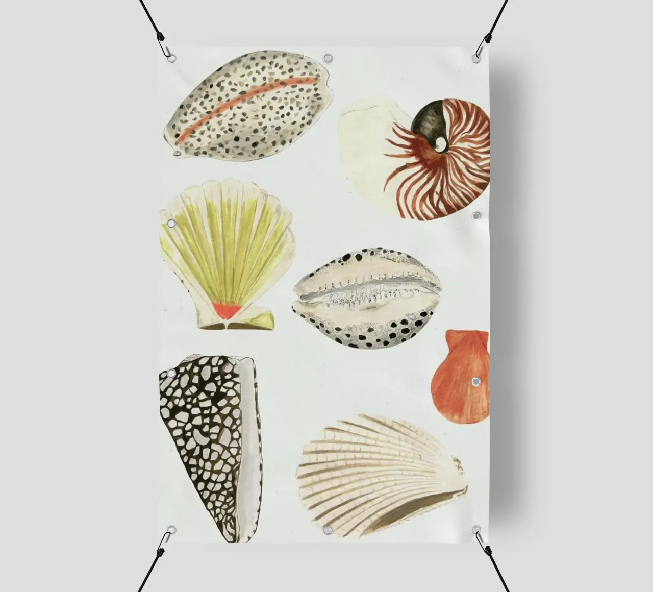 Shells telo in pvc da Isabelle Vandeplassche