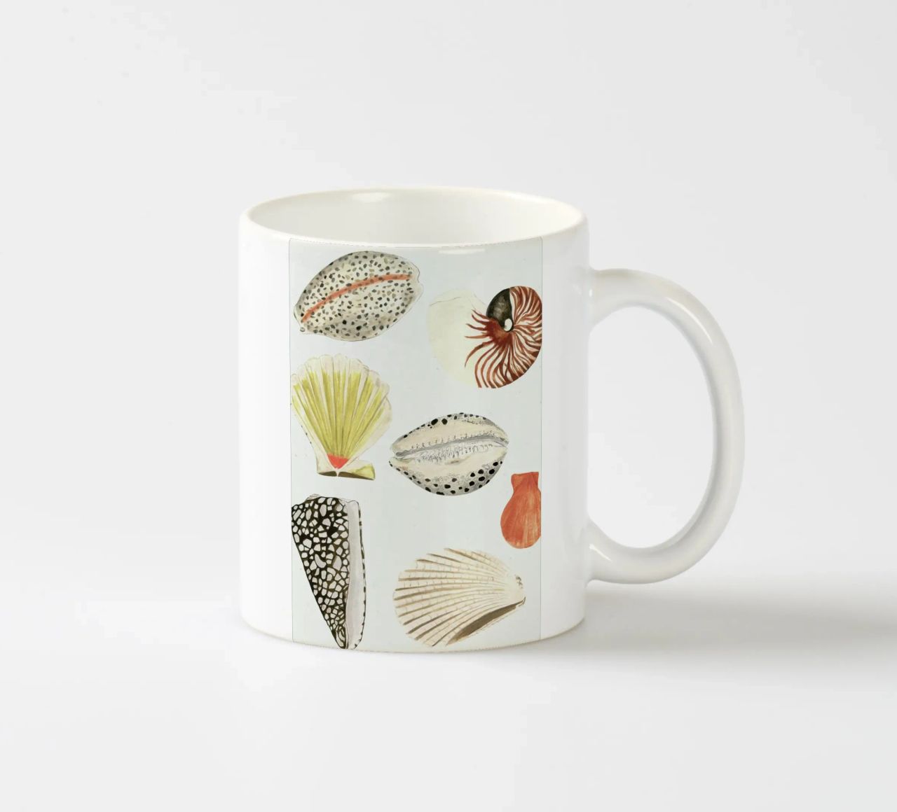 Shells tazza in ceramica da Isabelle Vandeplassche