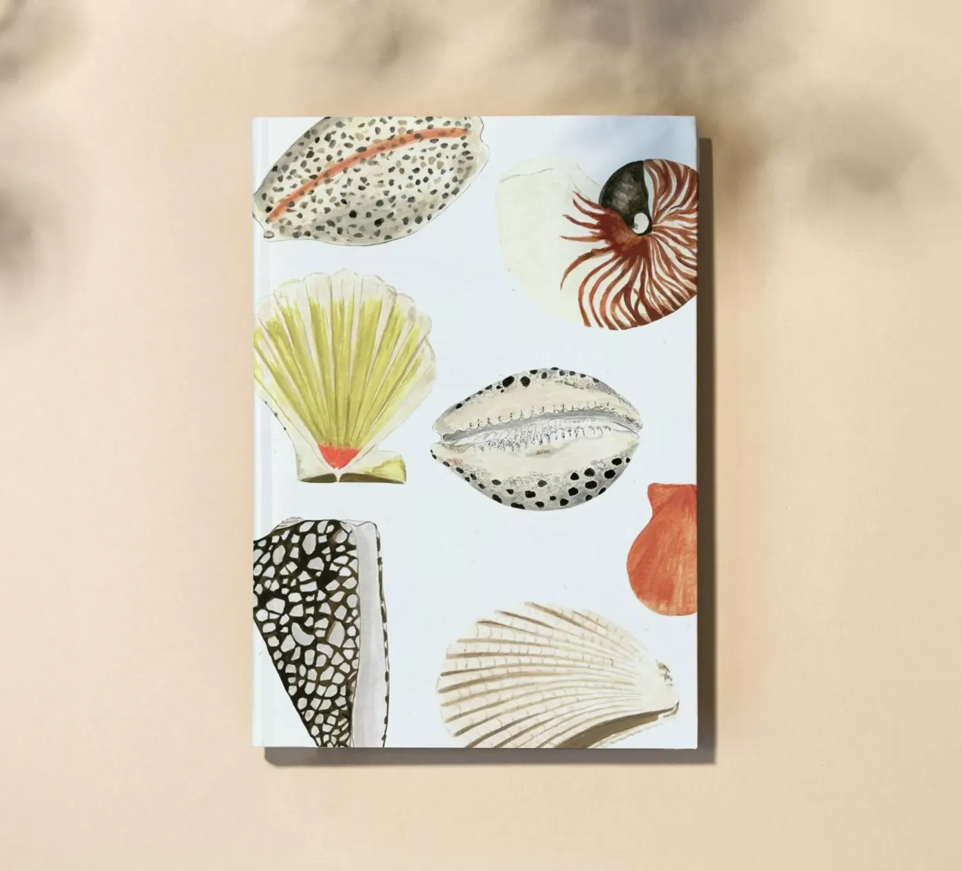 Shells quaderno da Isabelle Vandeplassche