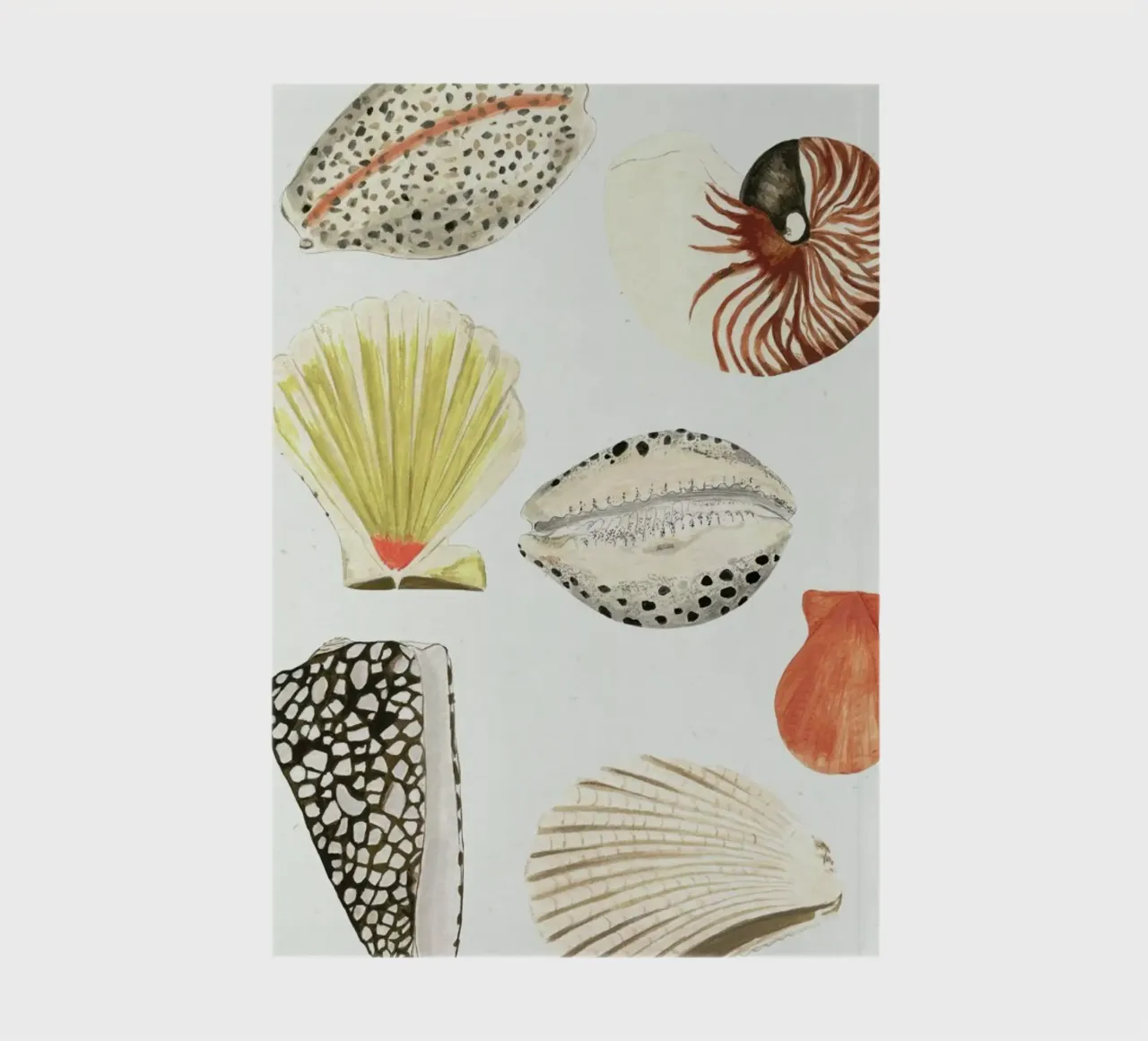 Shells carnet de notes de Isabelle Vandeplassche