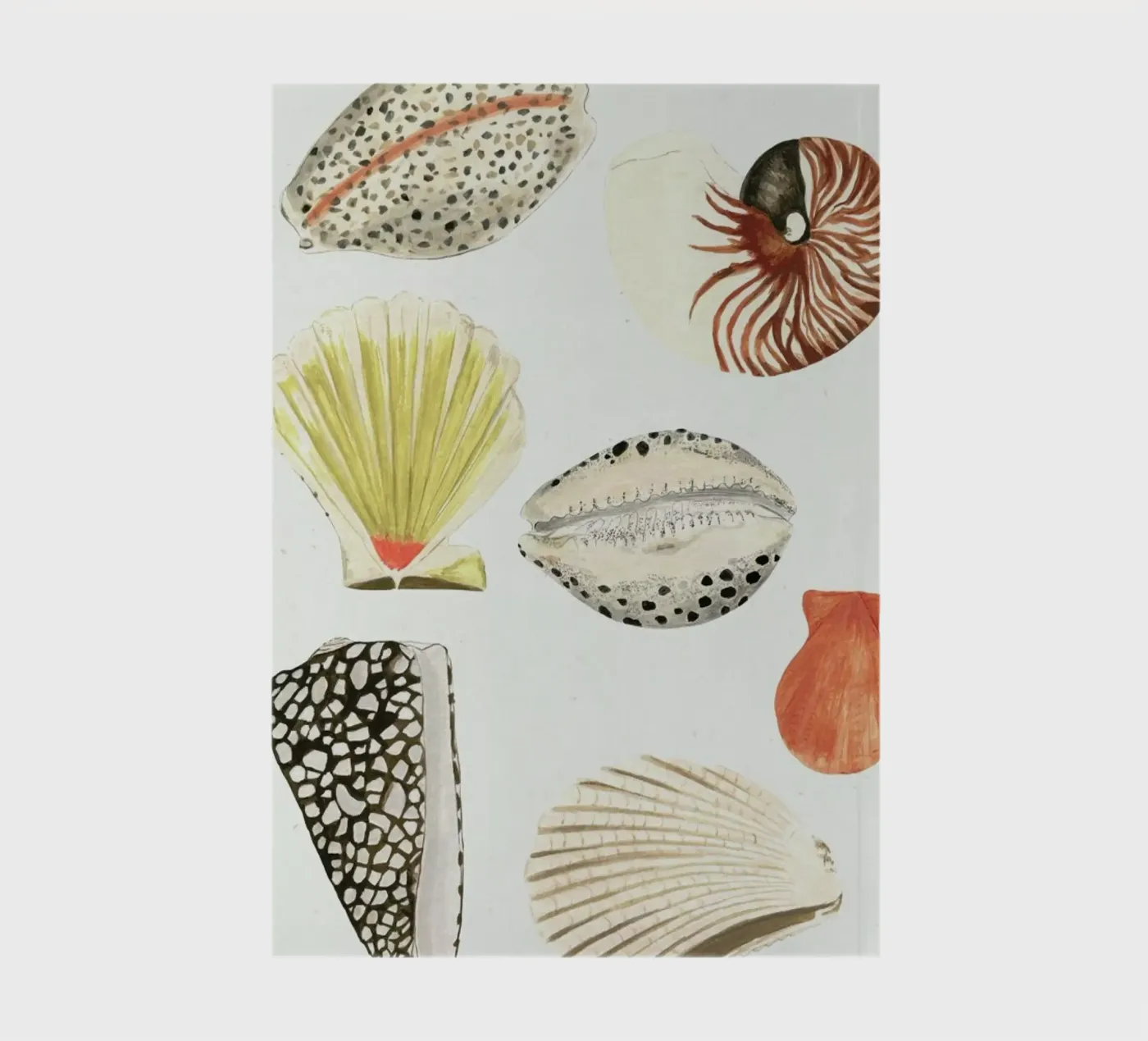 Shells Notizbuch von Isabelle Vandeplassche