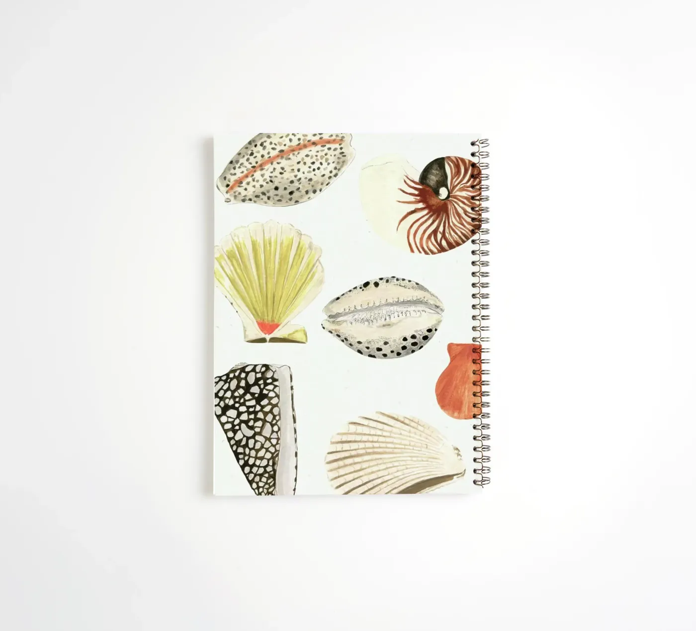 Shells Ringbuch von Isabelle Vandeplassche