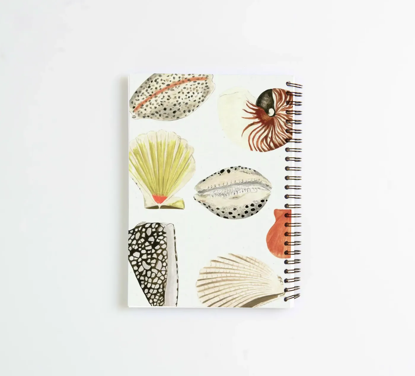 Shells Ringbuch von Isabelle Vandeplassche