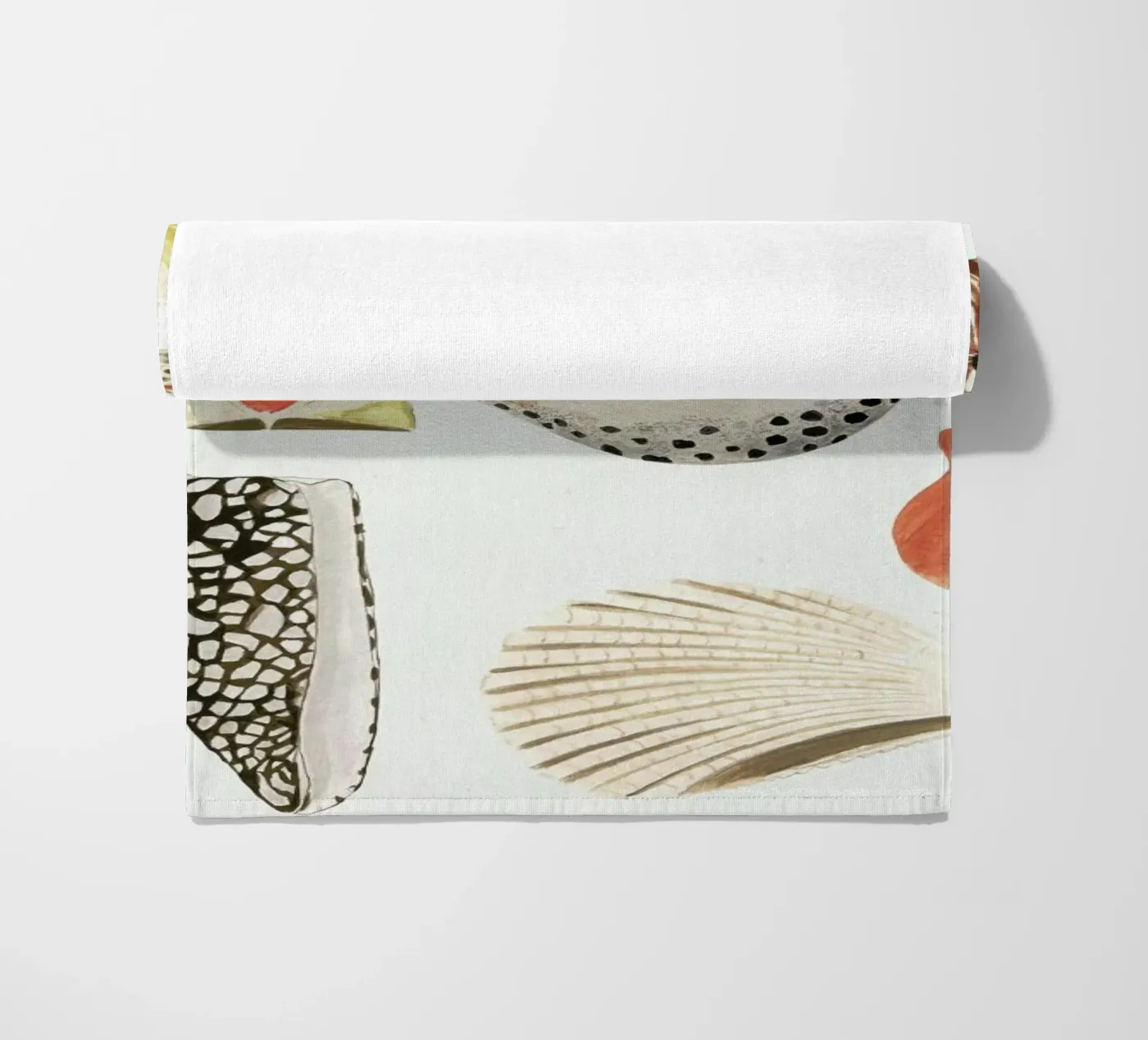 Shells telo mare da Isabelle Vandeplassche
