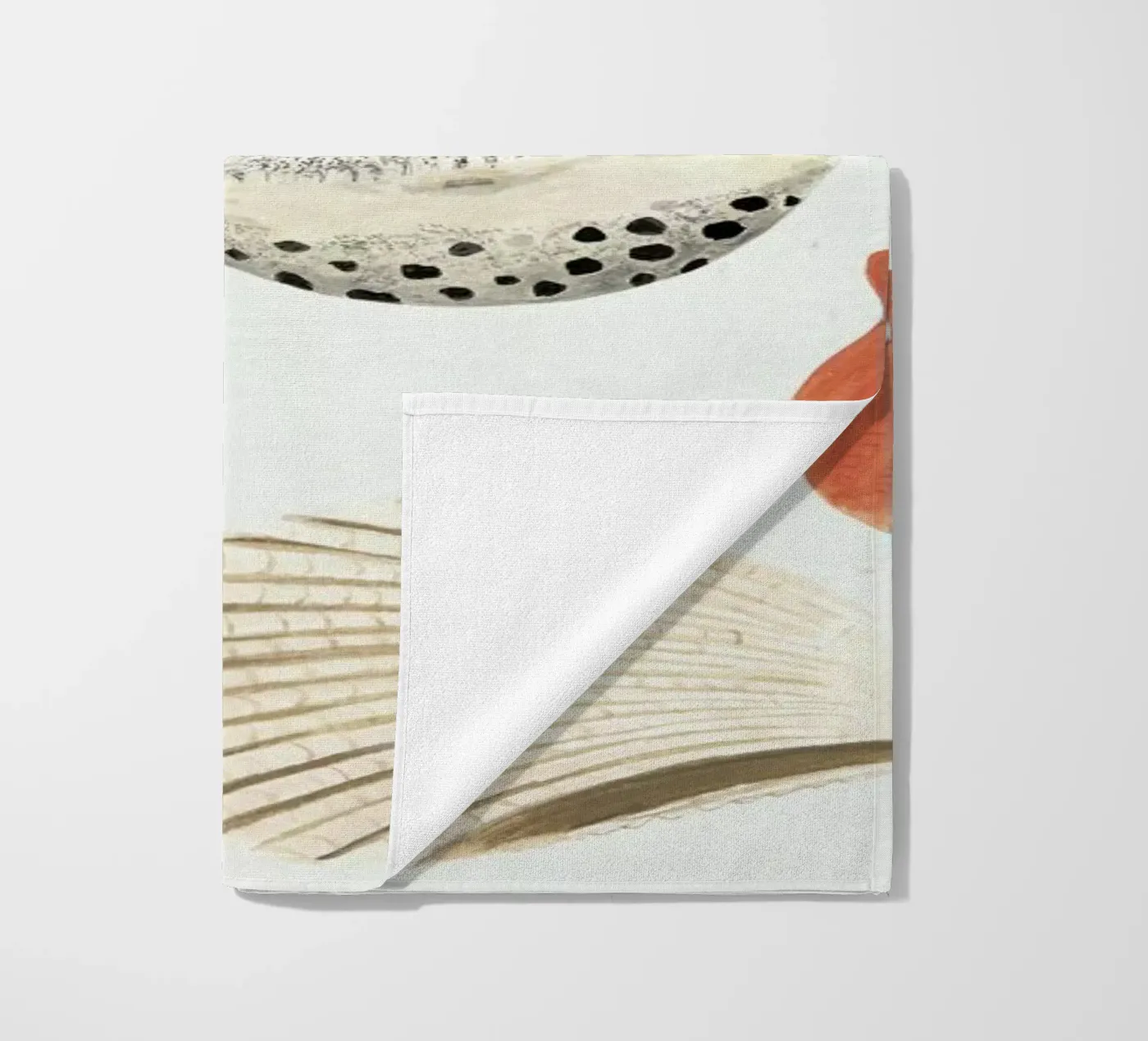 Shells Strandtuch von Isabelle Vandeplassche