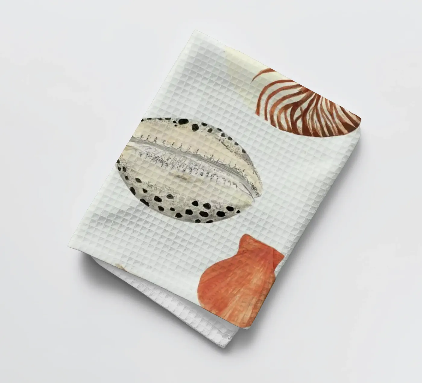 Shells canovaccio da cucina da Isabelle Vandeplassche