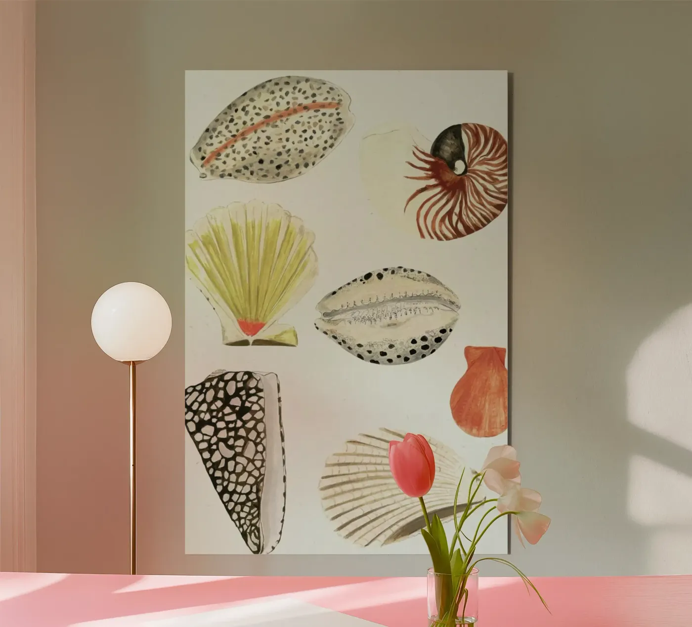 Shells forex-plaat van Isabelle Vandeplassche