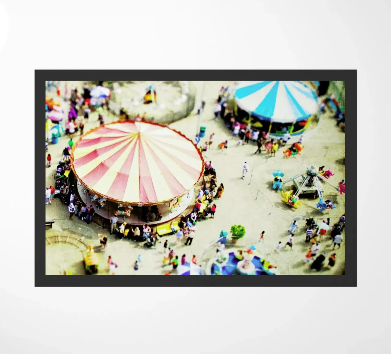 Carnivale zerbino da Mina Teslaru