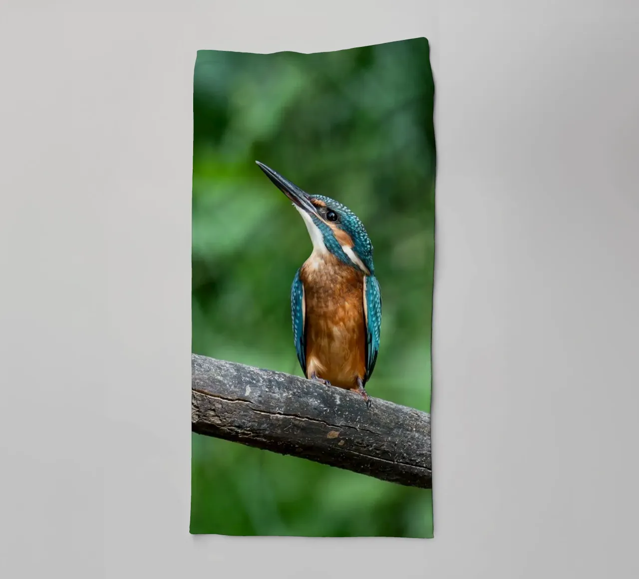 bird kingfisher towel by Earthly Visions