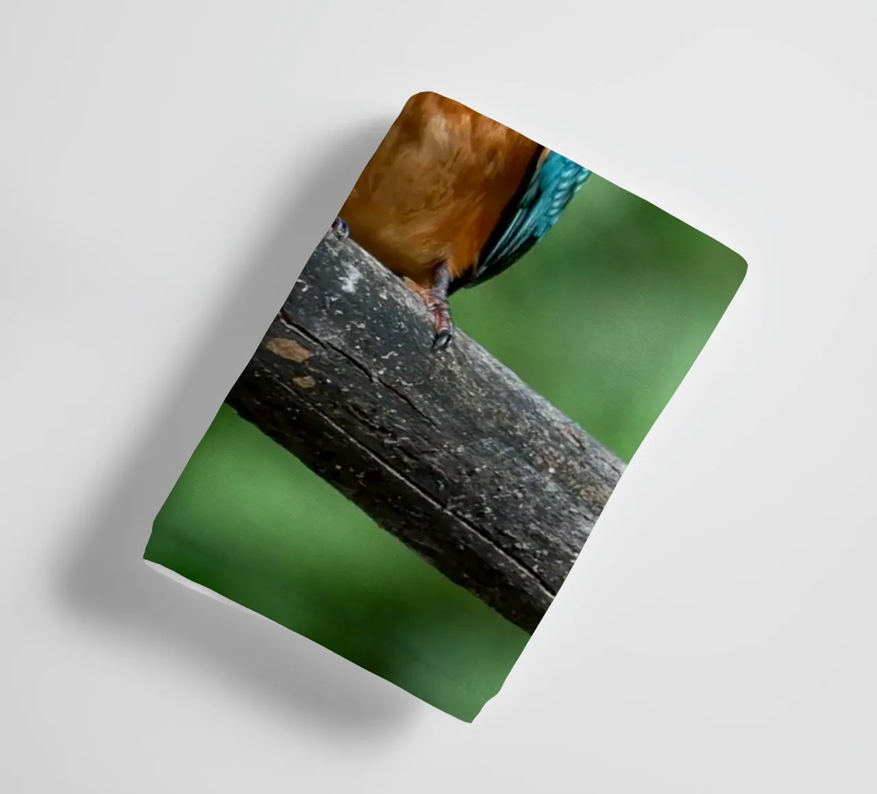bird kingfisher towel by Earthly Visions