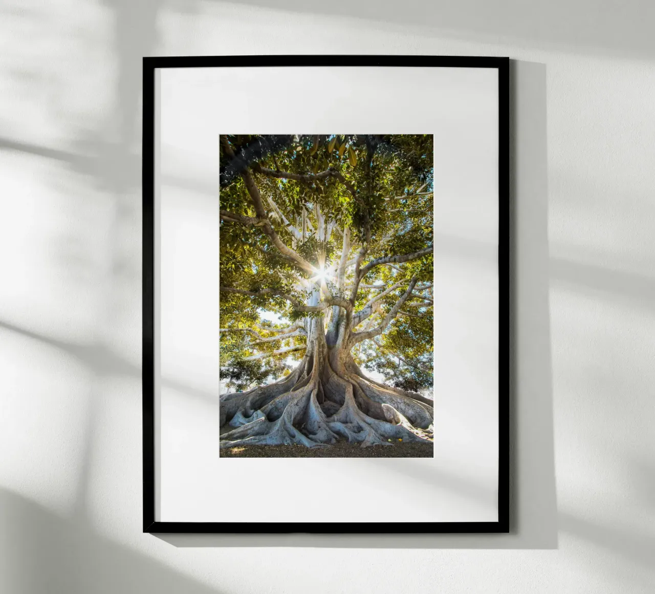 albero luce del sole poster con telaio in alluminio da Earthly Visions