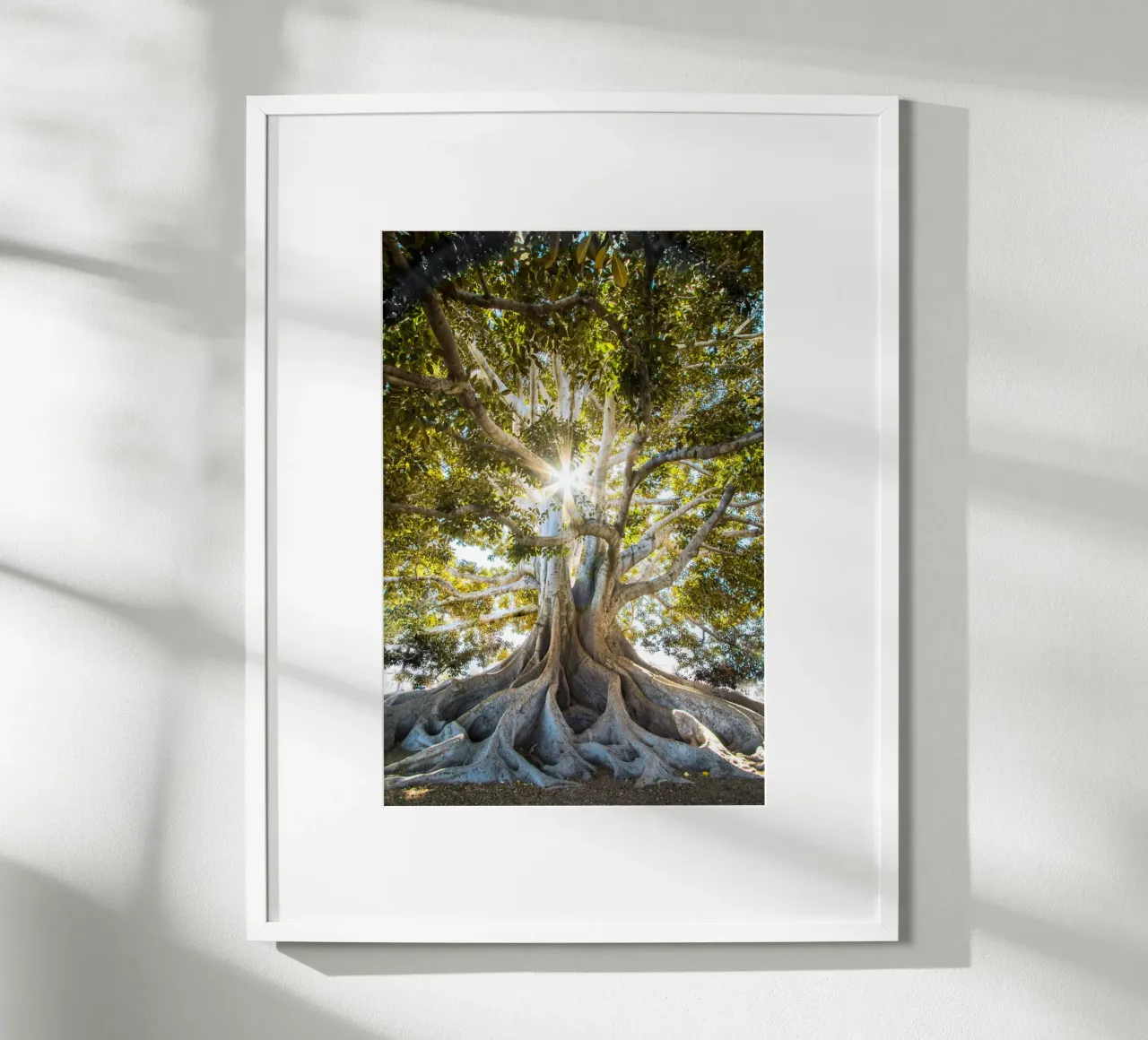 albero luce del sole poster con telaio in alluminio da Earthly Visions
