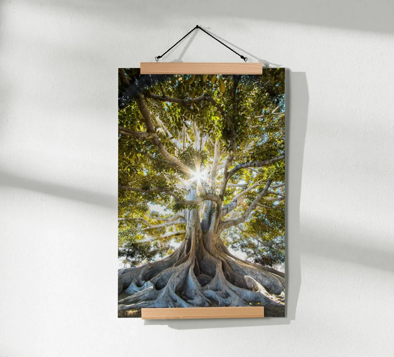 albero luce del sole poster con telaio in alluminio da Earthly Visions