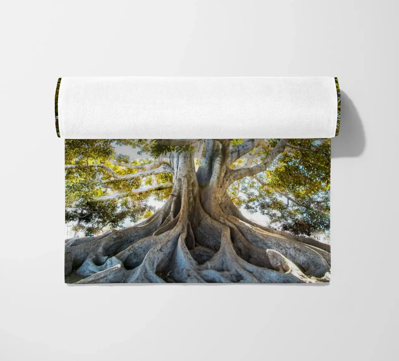 albero luce del sole telo mare da Earthly Visions