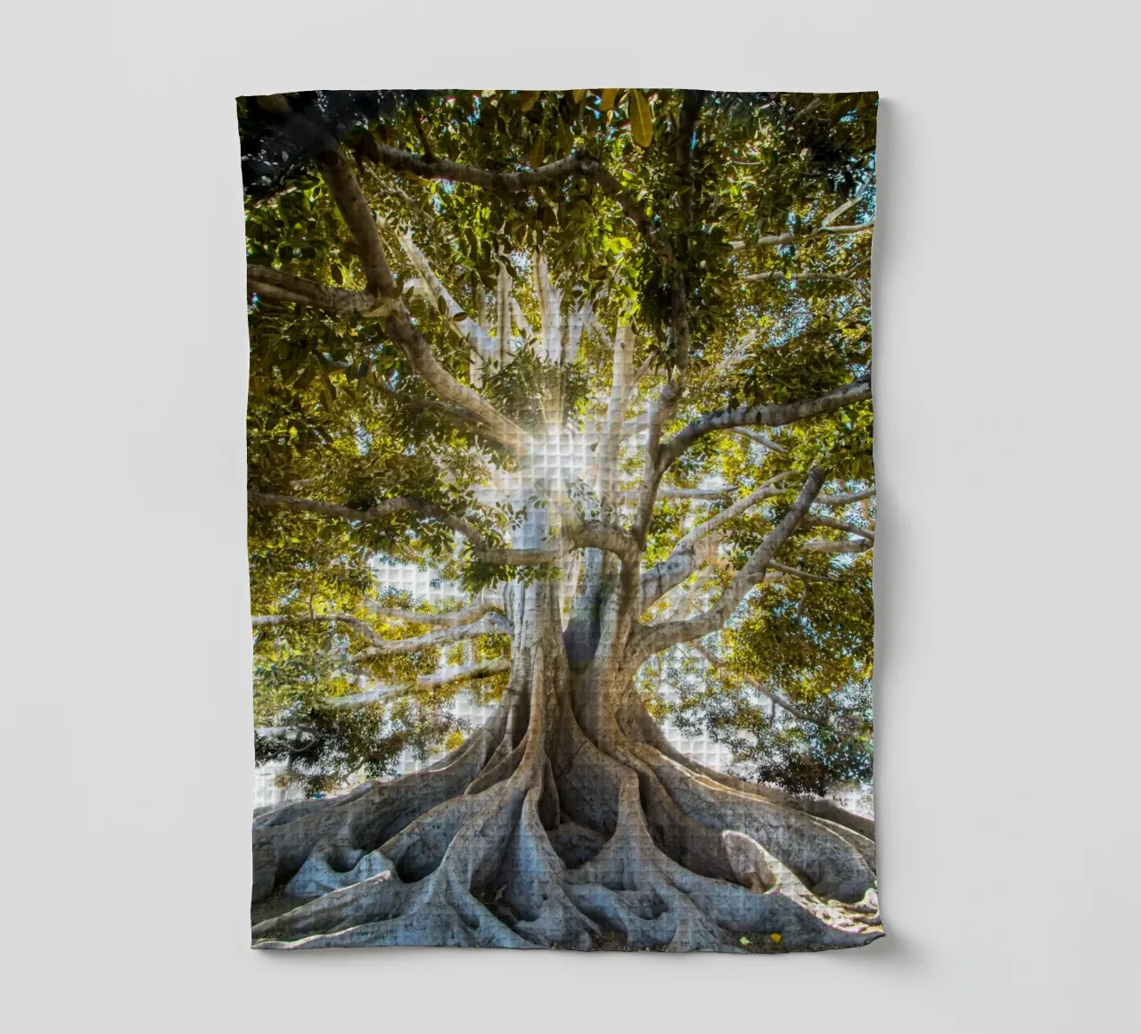 albero luce del sole canovaccio da cucina da Earthly Visions