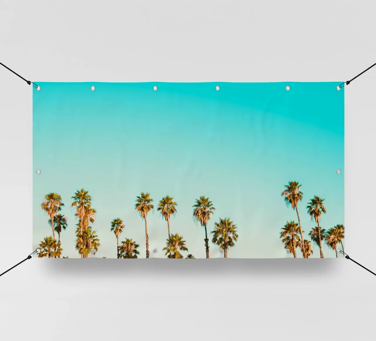 palm sky pvc cover by life of sands