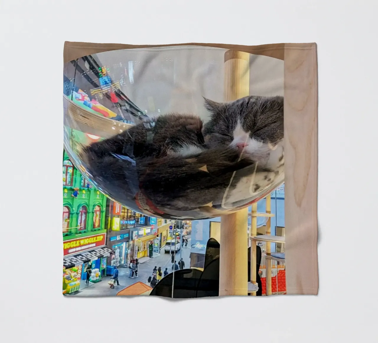 Fotografia in un Cat Café su una strada affollata di Seul, Corea del Sud coperta in pile da Hecate Pim Designs
