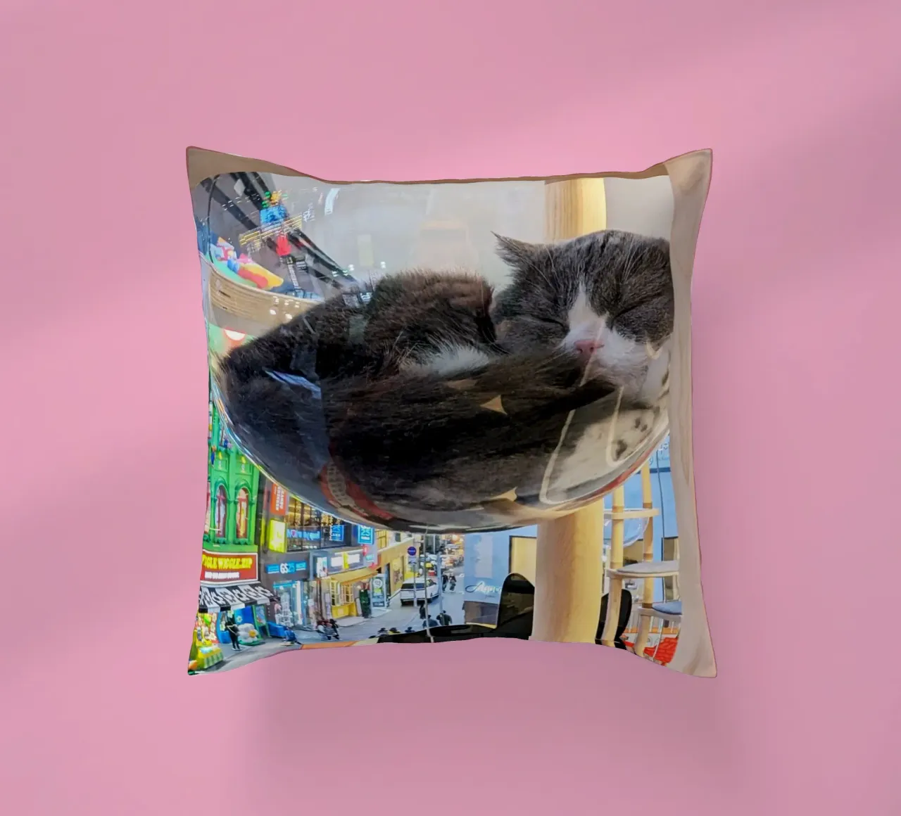 Fotografia in un Cat Café su una strada affollata di Seul, Corea del Sud cuscino da Hecate Pim Designs
