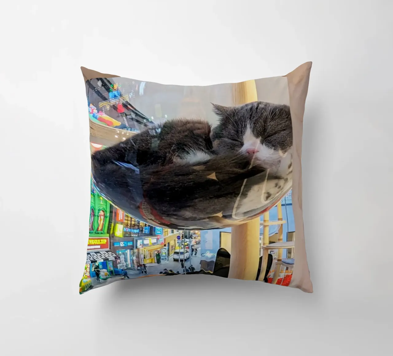Fotografia in un Cat Café su una strada affollata di Seul, Corea del Sud cuscino da Hecate Pim Designs